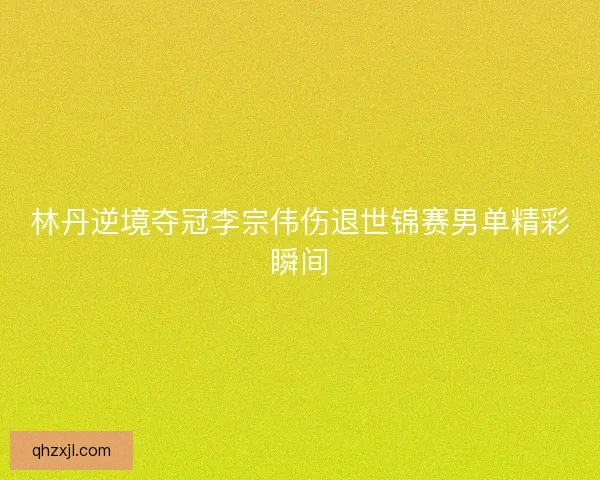 林丹逆境夺冠李宗伟伤退世锦赛男单精彩瞬间